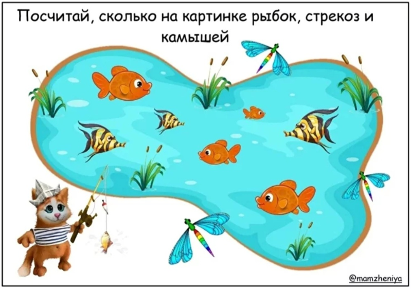 2023-02-20_16-48-52