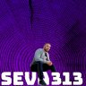 Seva313