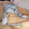 skittaskitta