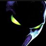 GaZer