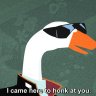 MrGoose