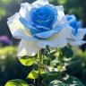 Nadya_the_Sun