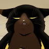 Masterful Cat