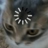 Kitsyka
