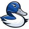 Healthy.duck