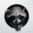 Raccoony